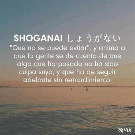 shoganai significado|Shoganai, un insegnamento giapponese per accettare。